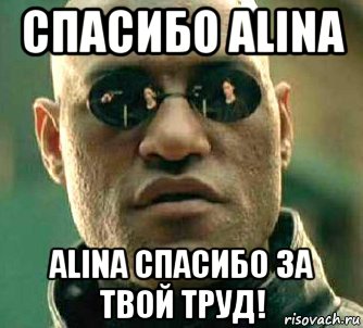 спасибо alina alina спасибо за твой труд!