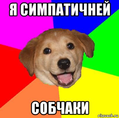 я симпатичней собчаки, Мем Advice Dog