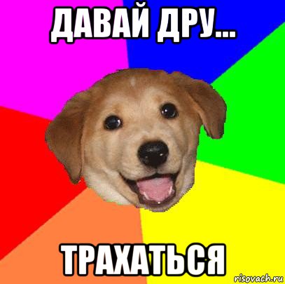 давай дру... трахаться, Мем Advice Dog