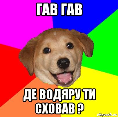 гав гав де водяру ти сховав ?, Мем Advice Dog