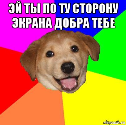 эй ты по ту сторону экрана добра тебе , Мем Advice Dog