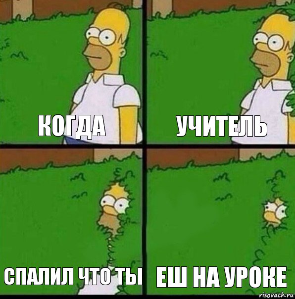 Когда Учитель Спалил что ты Еш на уроке, Комикс Гомер спрятался в кусты