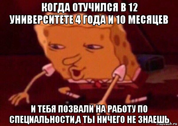 когда отучился в 12 университете 4 года и 10 месяцев и тебя позвали на работу по специальности,а ты ничего не знаешь, Мем    Bettingmemes