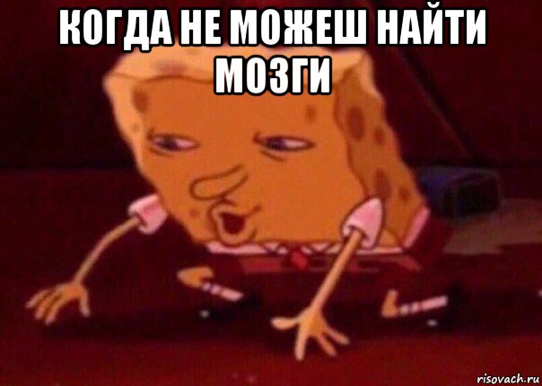 когда не можеш найти мозги , Мем    Bettingmemes