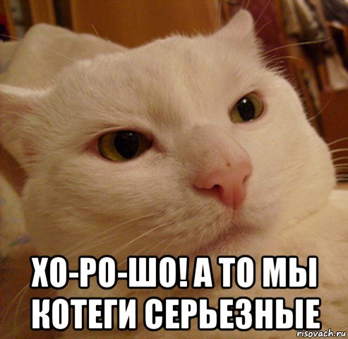  хо-ро-шо! а то мы котеги серьезные