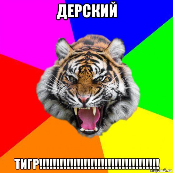 дерский тигр!!!!!!!!!!!!!!!!!!!!!!!!!!!!!!!!!!!