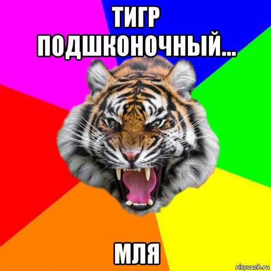 тигр подшконочный... мля