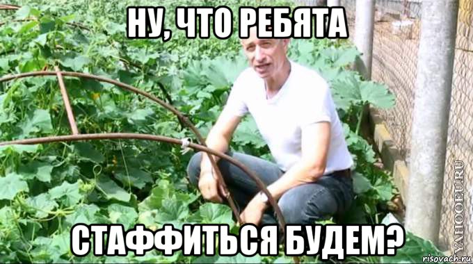 ну, что ребята стаффиться будем?