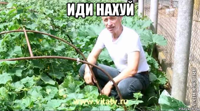 иди нахуй , Мем  Доктор попов