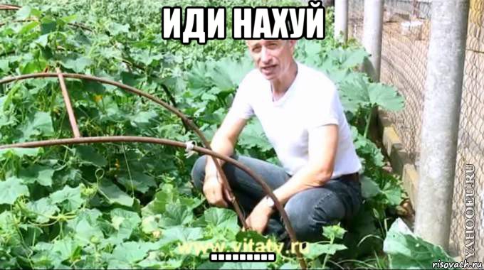 иди нахуй ........., Мем  Доктор попов