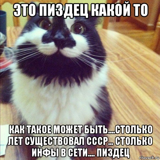 это пиздец какой то как такое может быть....столько лет существовал ссср... столько инфы в сети.... пиздец, Мем  довольный кот