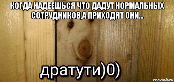 когда надеешься что дадут нормальных сотрудников,а приходят они... , Мем  Дратути