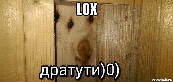 lox , Мем  Дратути