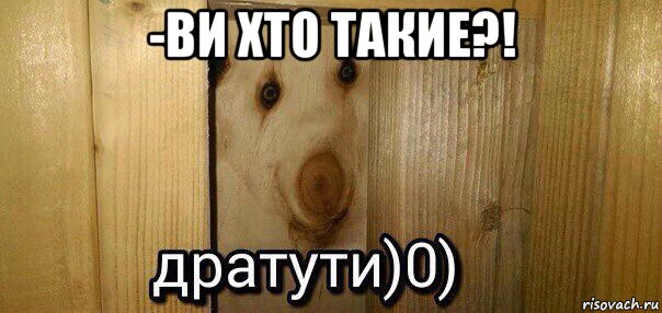 -ви хто такие?! , Мем  Дратути