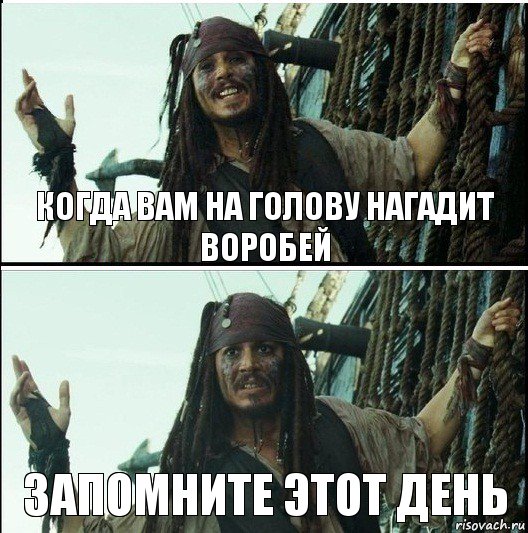 запомните этот день когда вам на голову нагадит воробей, Комикс  Джек Воробей (запомните тот день)