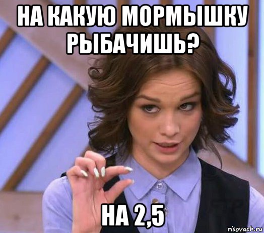 на какую мормышку рыбачишь? на 2,5