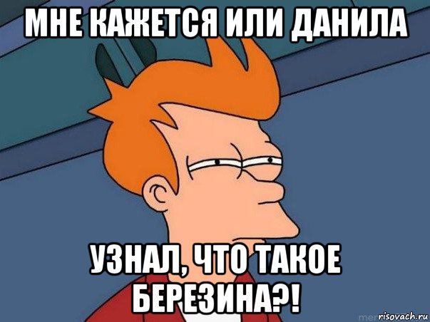 мне кажется или данила узнал, что такое березина?!, Мем  Фрай (мне кажется или)