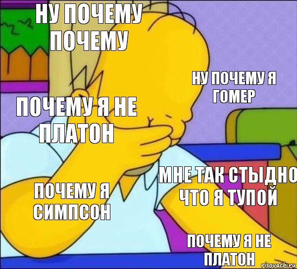 ну почему почему ну почему я гомер почему я не платон мне так стыдно что я тупой почему я симпсон почему я не платон