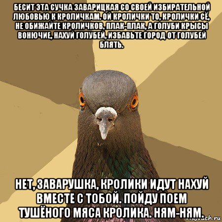 бесит эта сучка заварицкая со своей избирательной любовью к кроличкам. ой кролички то, кролички сё, не обижайте кроличков, плак-плак, а голуби крысы вонючие, нахуй голубей, избавьте город от голубей блять. нет, заварушка, кролики идут нахуй вместе с тобой. пойду поем тушёного мяса кролика. ням-ням., Мем голубь