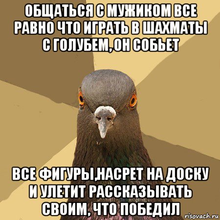 общаться с мужиком все равно что играть в шахматы с голубем, он собьет все фигуры,насрет на доску и улетит рассказывать своим, что победил, Мем голубь