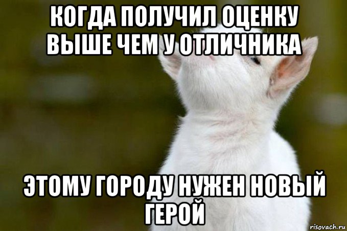 когда получил оценку выше чем у отличника этому городу нужен новый герой, Мем  Гордый козленок