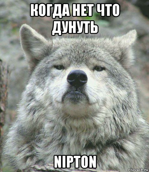 когда нет что дунуть nipton, Мем    Гордый волк