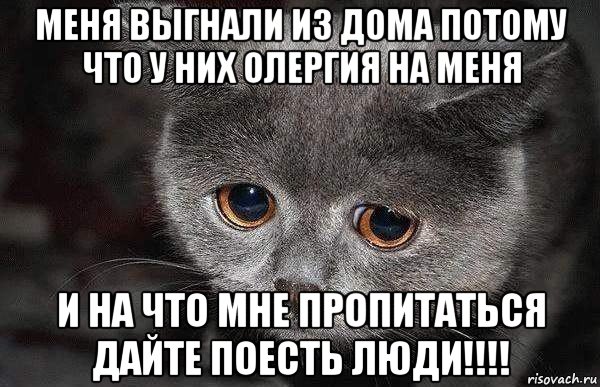 меня выгнали из дома потому что у них олергия на меня и на что мне пропитаться дайте поесть люди!!!!