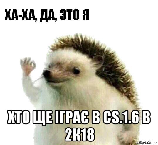  хто ще іграє в cs.1.6 в 2к18, Мем Ха-ха да это я