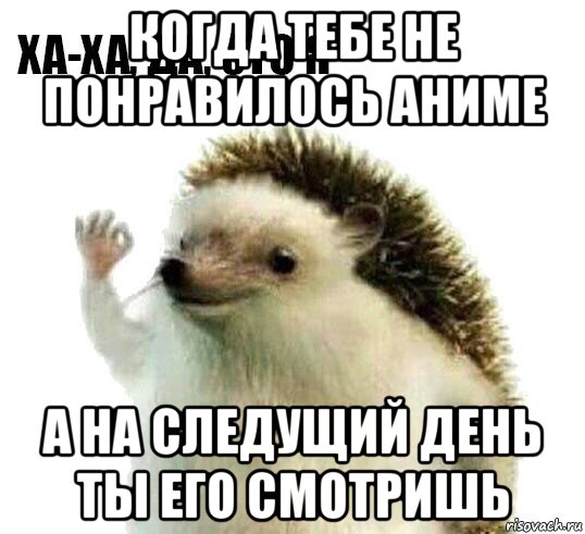 когда тебе не понравилось аниме а на следущий день ты его смотришь, Мем Ха-ха да это я