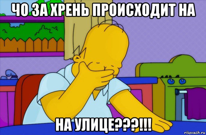 чо за хрень происходит на на улице???!!!, Мем Homer simpson facepalm