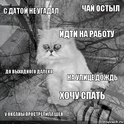 С датой не угадал На улице дождь Идти на работу У Оксаны прострелила шея До выходного далеко Чай остыл Хочу спать   , Комикс  кот безысходность