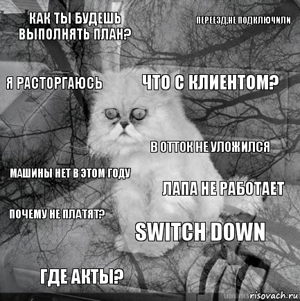 Как ты будешь выполнять план? лапа не работает Что с клиентом? где акты? машины нет в этом году переезд,не подключили switch down я расторгаюсь почему не платят? в отток не уложился, Комикс  кот безысходность