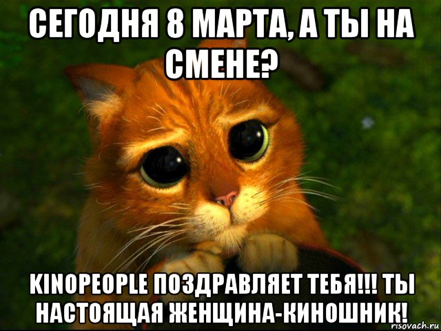 сегодня 8 марта, а ты на смене? kinopeople поздравляет тебя!!! ты настоящая женщина-киношник!, Мем кот из шрека