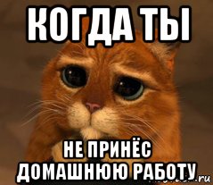 когда ты не принёс домашнюю работу