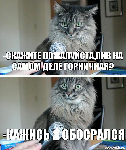 -Скажите пожалуйста,пив на самом деле горничная? -кажись я обосрался, Комикс  кот с микрофоном