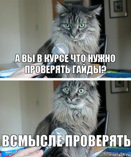 А вы в курсе что нужно проверять гайды? Всмысле проверять, Комикс  кот с микрофоном