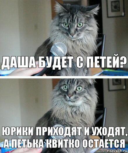 Даша будет с Петей? Юрики приходят и уходят, а Петька Квитко остается, Комикс  кот с микрофоном