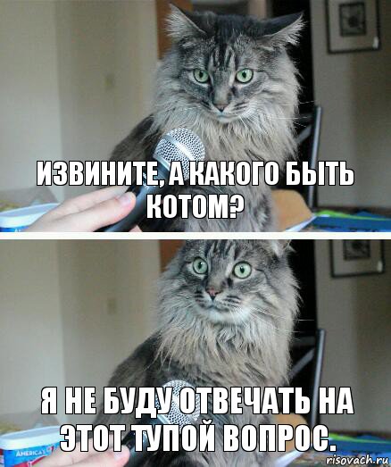 Извините, а какого быть котом? Я не буду отвечать на этот тупой вопрос., Комикс  кот с микрофоном