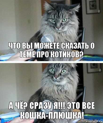 Что вы можете сказать о теме про котиков? а чë? сразу я!!! Это все Кошка-Плюшка!, Комикс  кот с микрофоном