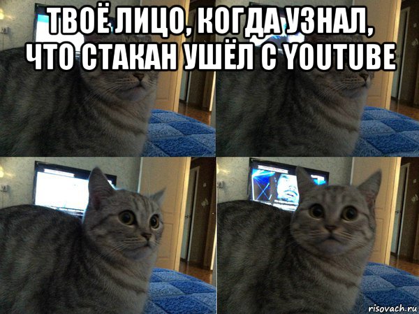 твоё лицо, когда узнал, что стакан ушёл с youtube 