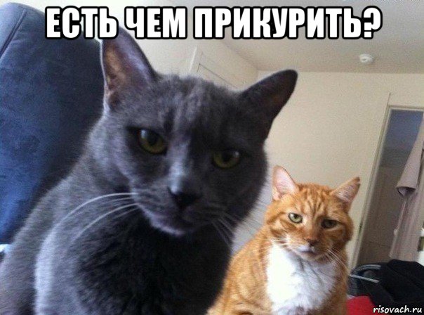 есть чем прикурить? , Мем  Два котэ