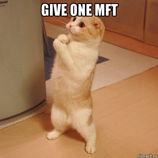 give one mft , Мем  котэ молится