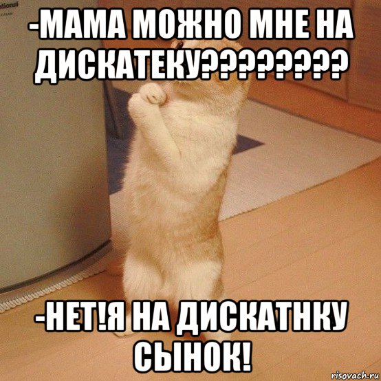 -мама можно мне на дискатеку???????? -нет!я на дискатнку сынок!, Мем  котэ молится