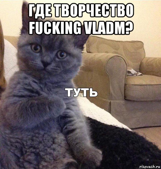 где творчество fucking vladm? , Мем Котик - Туть