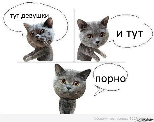 тут девушки и тут порно