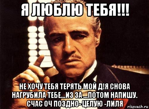 я люблю тебя!!! не хочу тебя терять мой д!я снова нагрубила тебе...из за ...потом напишу. счас оч поздно- целую -лиля, Мем крестный отец