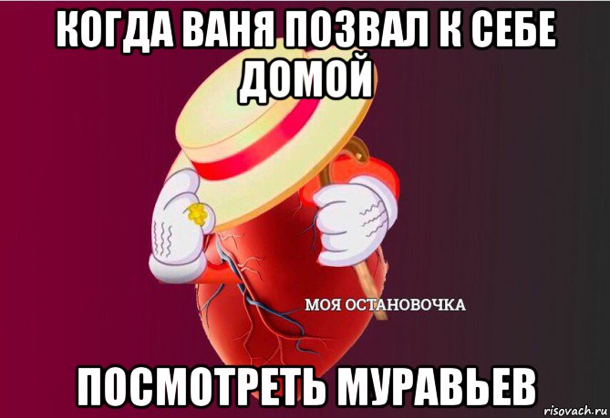 когда ваня позвал к себе домой посмотреть муравьев, Мем   Моя остановочка