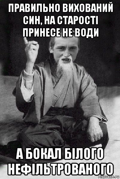 правильно вихований син, на старості принесе не води а бокал білого нефільтрованого, Мем Мудрий паца