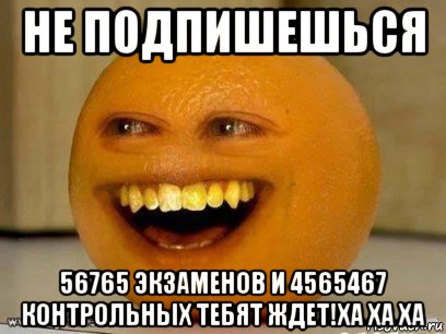 не подпишешься 56765 экзаменов и 4565467 контрольных тебят ждет!ха ха ха, Мем Надоедливый апельсин