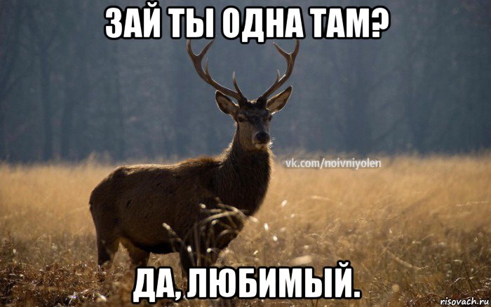 зай ты одна там? да, любимый.